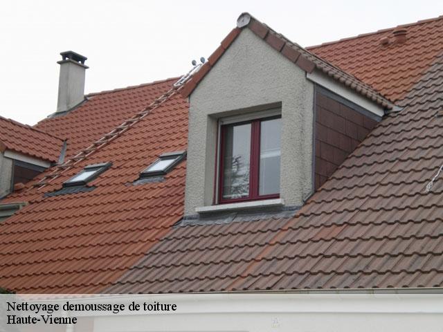 Nettoyage demoussage de toiture Haute-Vienne