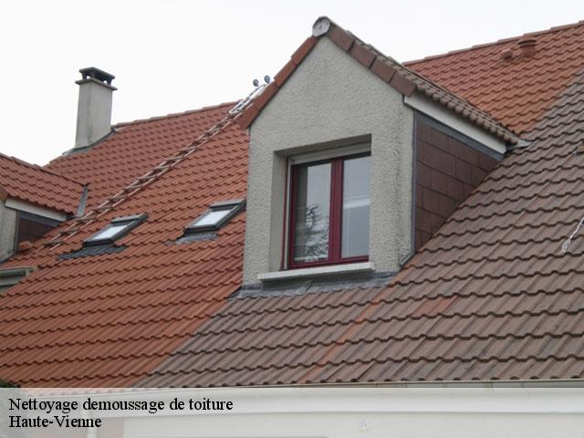 Nettoyage demoussage de toiture Haute-Vienne 