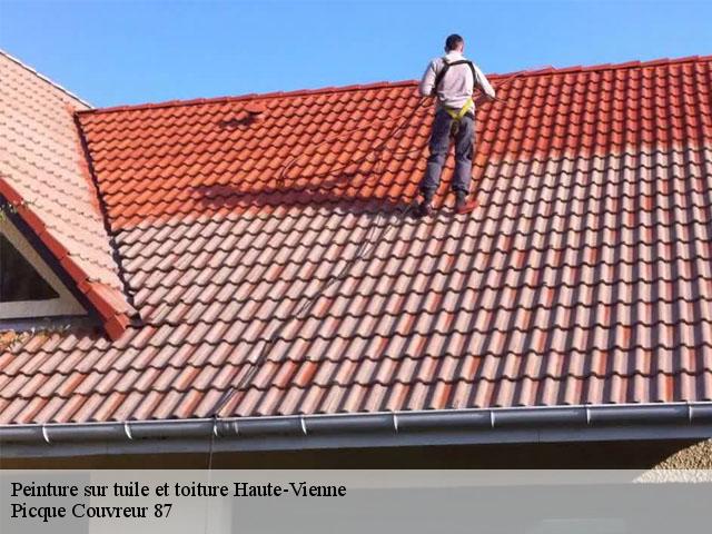 Peinture sur tuile et toiture 87 Haute-Vienne  Picque Couverture