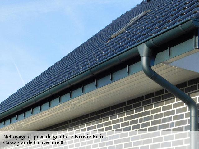 Nettoyage et pose de gouttière neuvic-entier-87130 Cassagrande Couverture 87