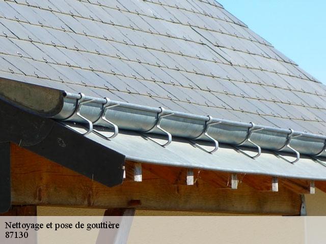 Nettoyage et pose de gouttière 87130