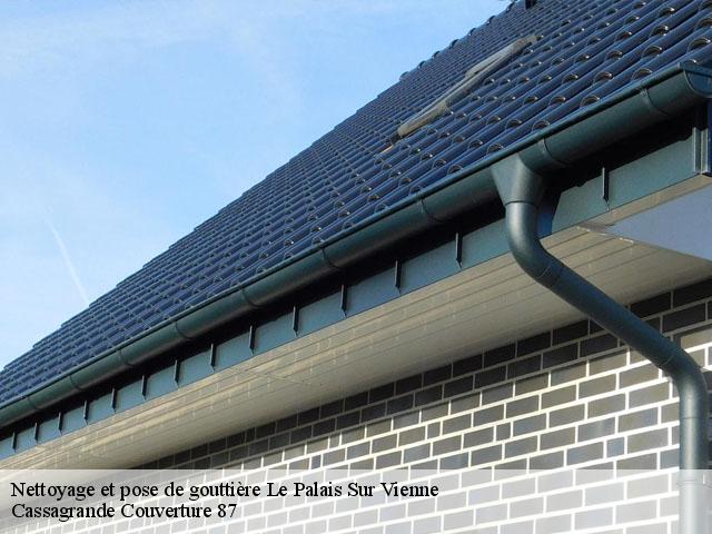 Nettoyage et pose de gouttière  le-palais-sur-vienne-87410 Picque Couvreur 87