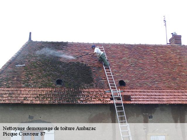Nettoyage demoussage de toiture  ambazac-87240 Picque Couvreur 87