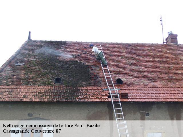 Nettoyage demoussage de toiture saint-bazile-87150 Cassagrande Couverture 87