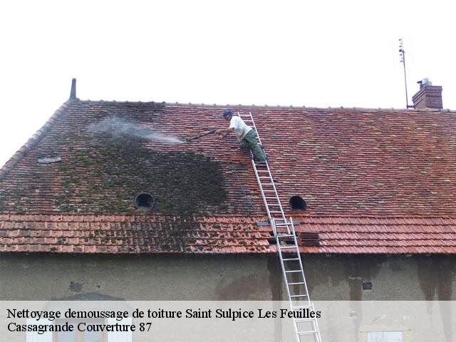 Nettoyage demoussage de toiture saint-sulpice-les-feuilles-87160 Cassagrande Couverture 87