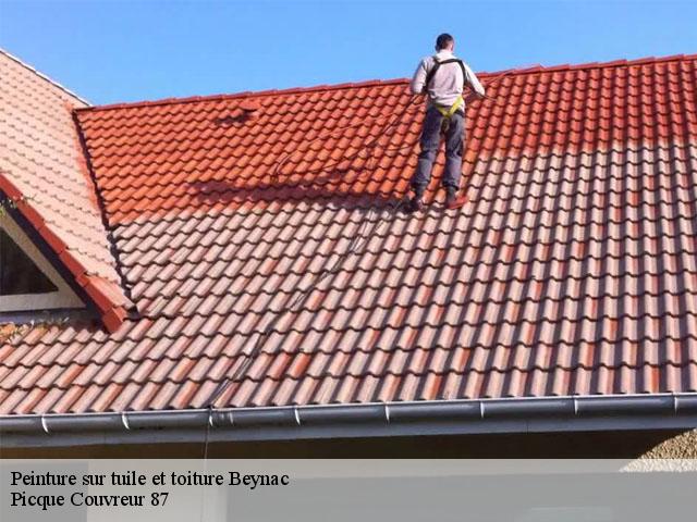 Peinture sur tuile et toiture  beynac-87700 Picque Couvreur 87