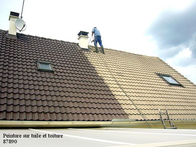 Peinture sur tuile et toiture 87890