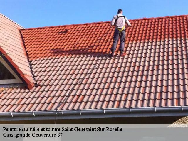 Peinture sur tuile et toiture  saint-genesaint-sur-roselle-87260 Cassagrande Couverture 87
