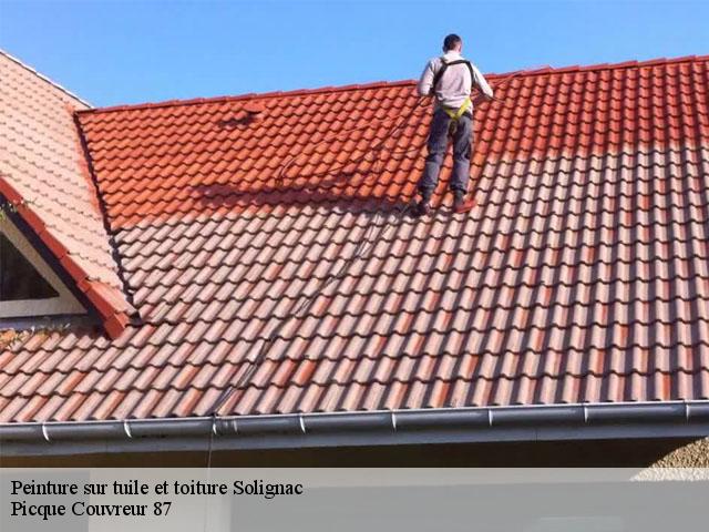 Peinture sur tuile et toiture  solignac-87110 Picque Couverture